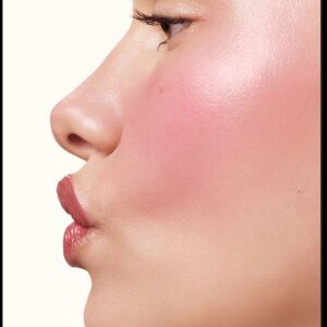 RHODE PLUM POCKET  Blush